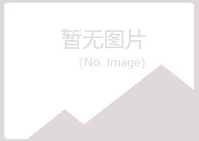 乐山中夏日化学有限公司